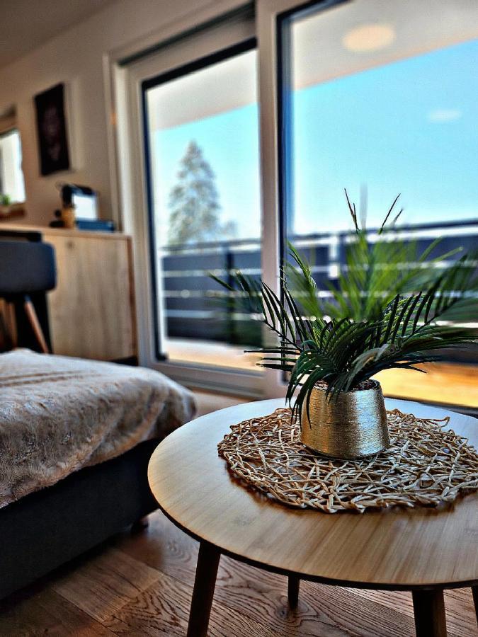Lions Place Premium Apartments Executive Luxus Penthouse Inklusive Spa ハイデンハイム・アン・デア・ブレンツ エクステリア 写真