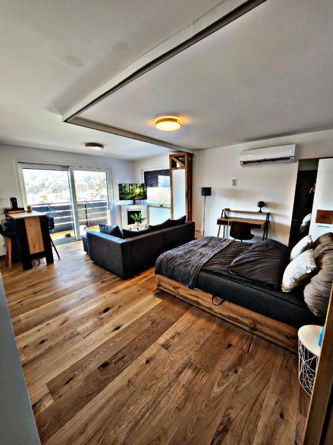 Lions Place Premium Apartments Executive Luxus Penthouse Inklusive Spa ハイデンハイム・アン・デア・ブレンツ エクステリア 写真