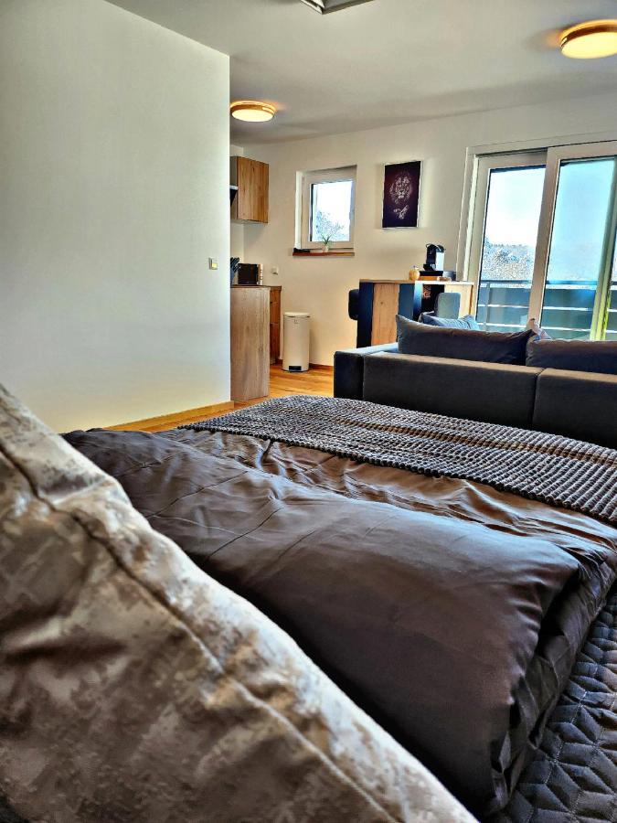 Lions Place Premium Apartments Executive Luxus Penthouse Inklusive Spa ハイデンハイム・アン・デア・ブレンツ エクステリア 写真