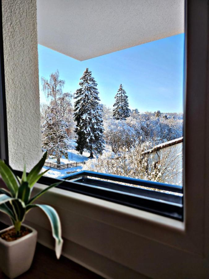 Lions Place Premium Apartments Executive Luxus Penthouse Inklusive Spa ハイデンハイム・アン・デア・ブレンツ エクステリア 写真