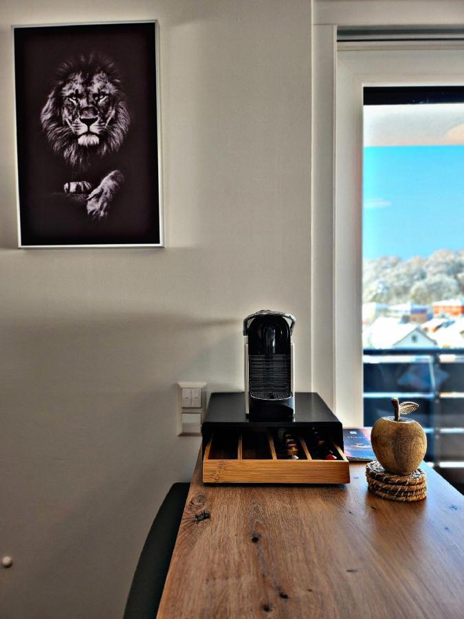 Lions Place Premium Apartments Executive Luxus Penthouse Inklusive Spa ハイデンハイム・アン・デア・ブレンツ エクステリア 写真
