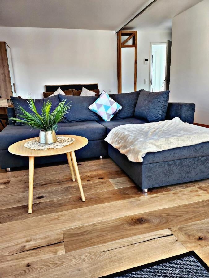 Lions Place Premium Apartments Executive Luxus Penthouse Inklusive Spa ハイデンハイム・アン・デア・ブレンツ エクステリア 写真