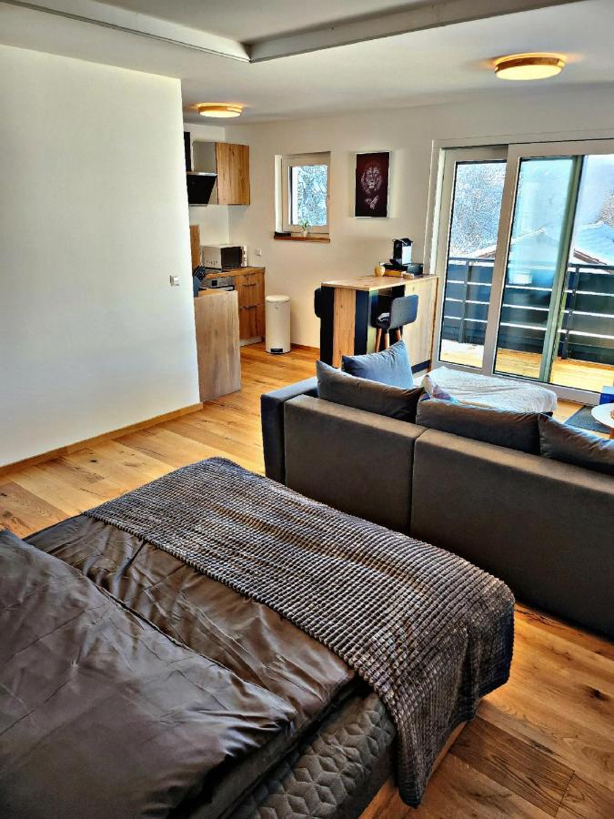 Lions Place Premium Apartments Executive Luxus Penthouse Inklusive Spa ハイデンハイム・アン・デア・ブレンツ エクステリア 写真