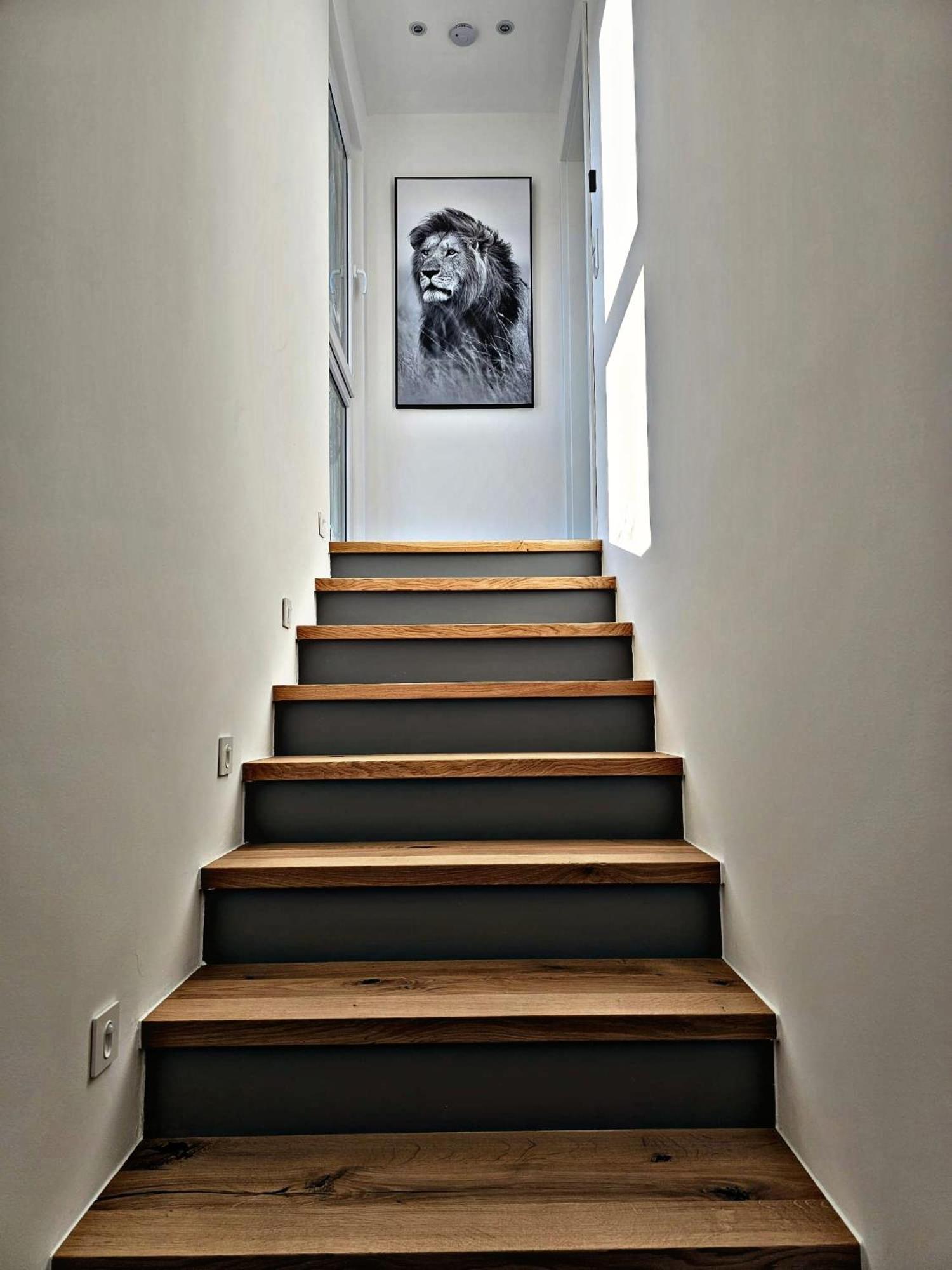 Lions Place Premium Apartments Executive Luxus Penthouse Inklusive Spa ハイデンハイム・アン・デア・ブレンツ エクステリア 写真
